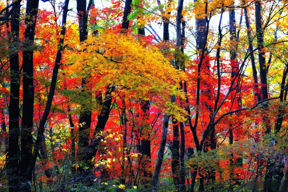 Wunü Peak National Forest Park